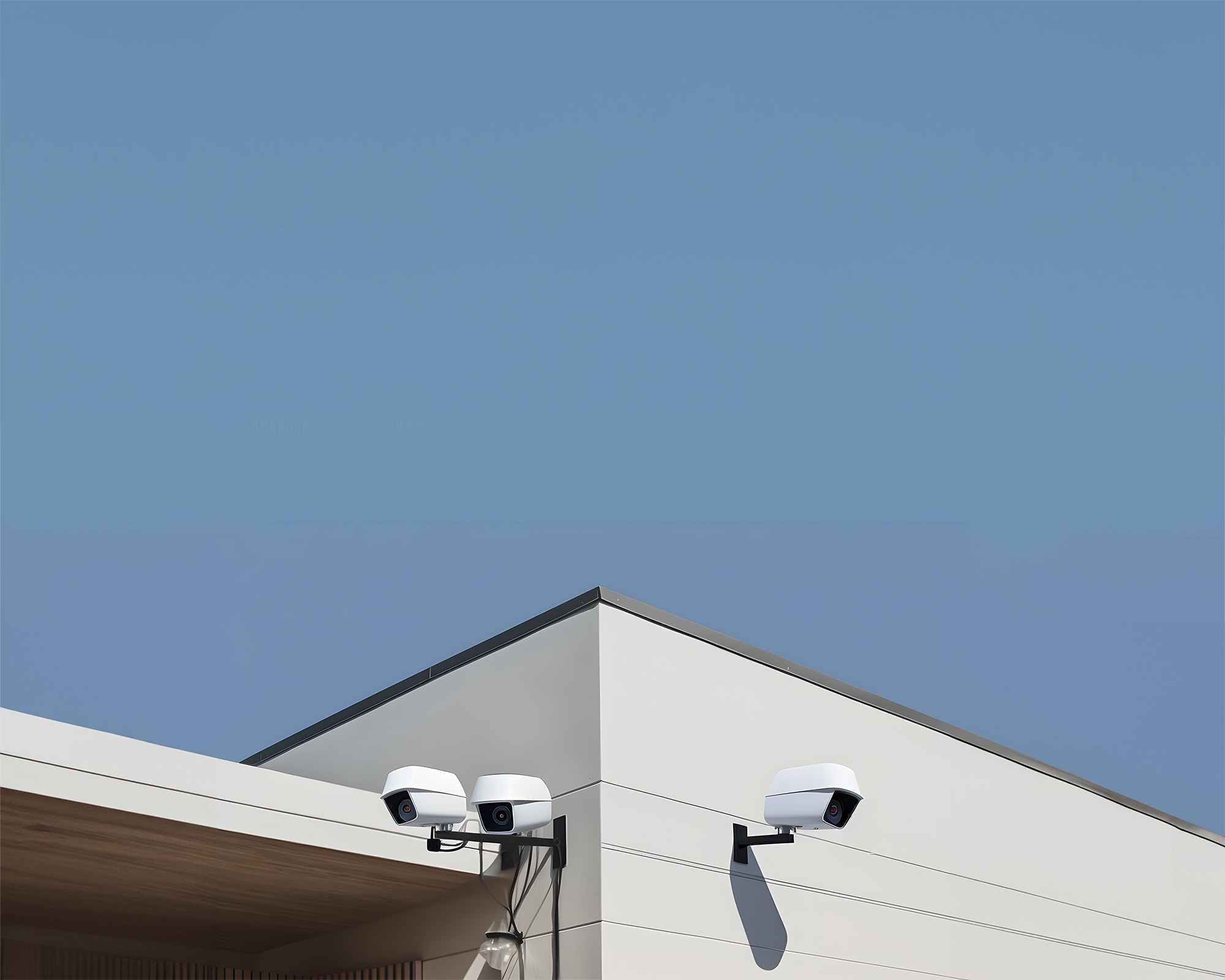 Anthon1583_The_photos_of_two_outdoor_surveillance_cameras_insta_dd776140-0ffc-4c3f-87df-f0c8f4354d99_2.png