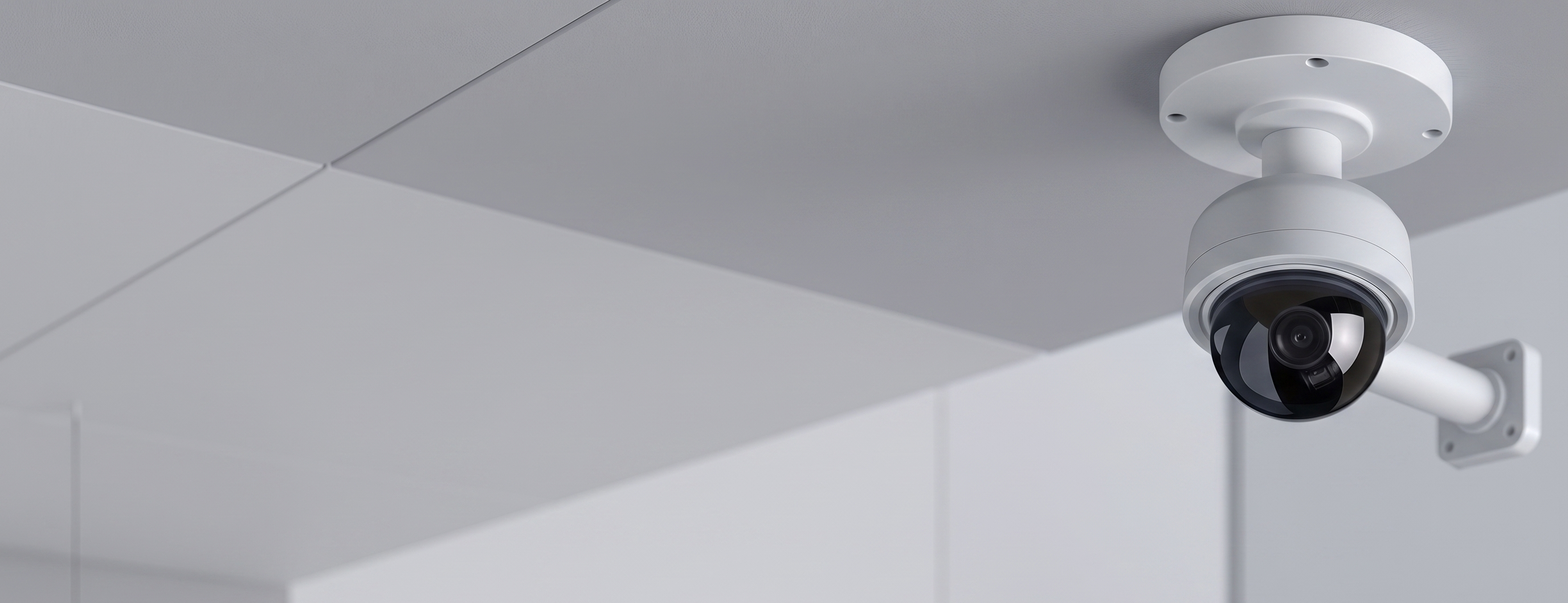 Gemini_Generated_Image_83bsia83bsia83bs.png